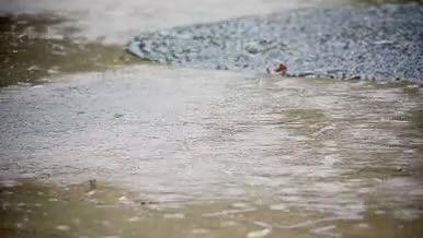 北方夏天路边下雨积水视频索尼slog2视频的预览图